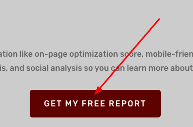 Get My Website Report button